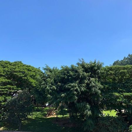 圣特雷莎Microcasa Na Cobertura公寓 外观 照片