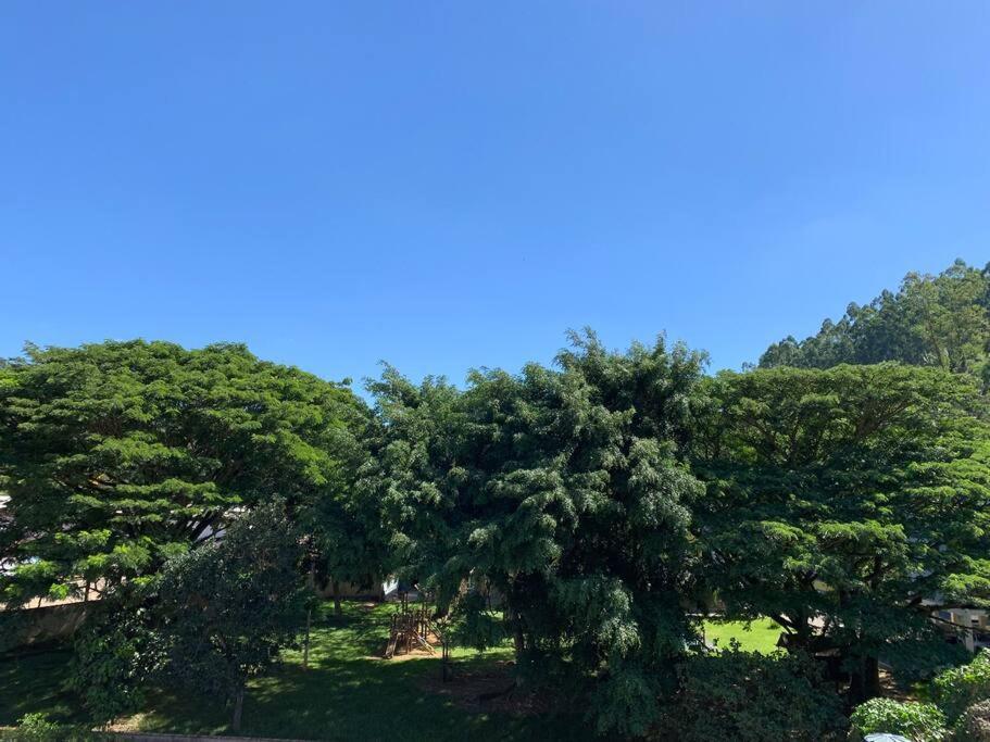 圣特雷莎Microcasa Na Cobertura公寓 外观 照片